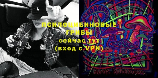 Альфа ПВП Беломорск