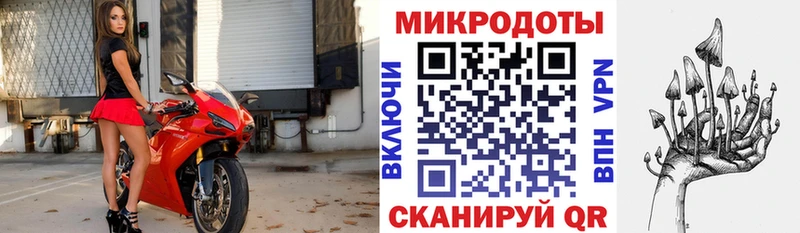 Галлюциногенные грибы Psilocybe  магазин продажи наркотиков  нарко площадка какой сайт  Гороховец 